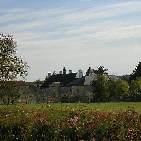 Chateau De La Noblaye Bed & Breakfast Lemere Dış mekan fotoğraf