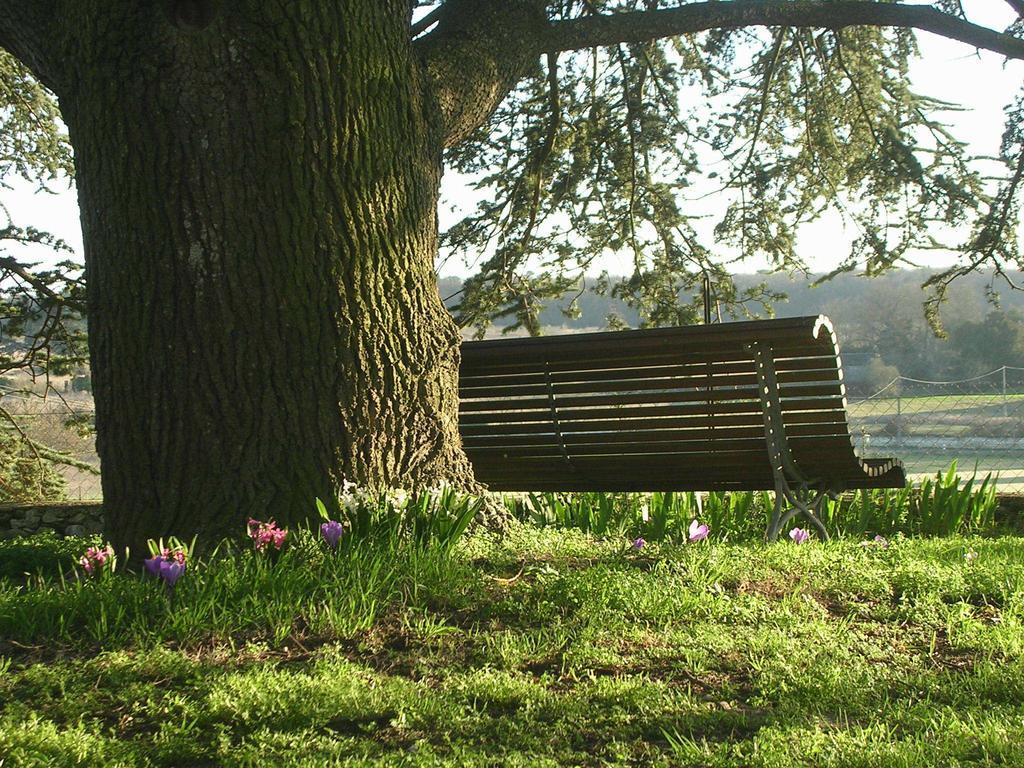 Chateau De La Noblaye Bed & Breakfast Lemere Dış mekan fotoğraf