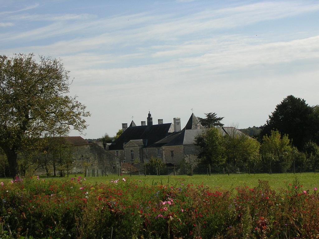 Chateau De La Noblaye Bed & Breakfast Lemere Dış mekan fotoğraf