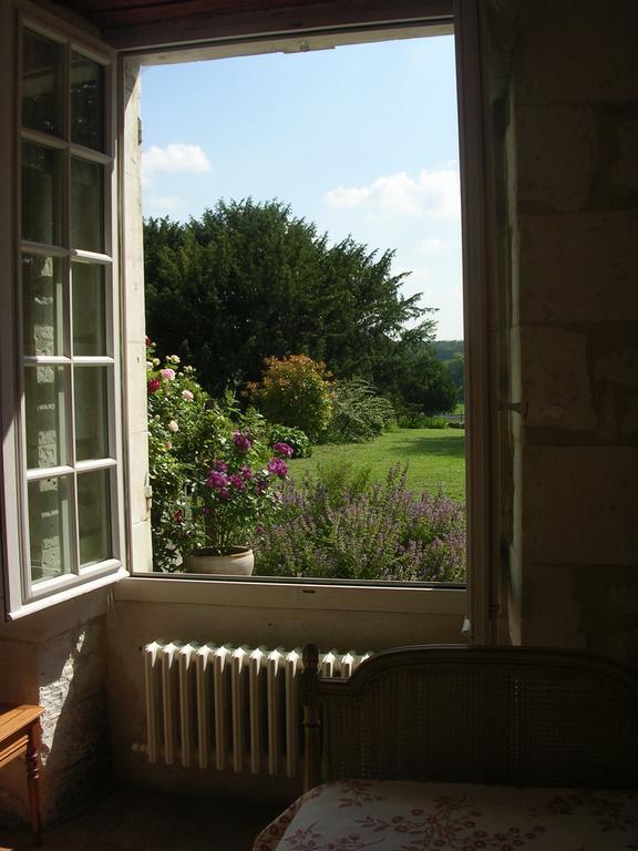 Chateau De La Noblaye Bed & Breakfast Lemere Dış mekan fotoğraf