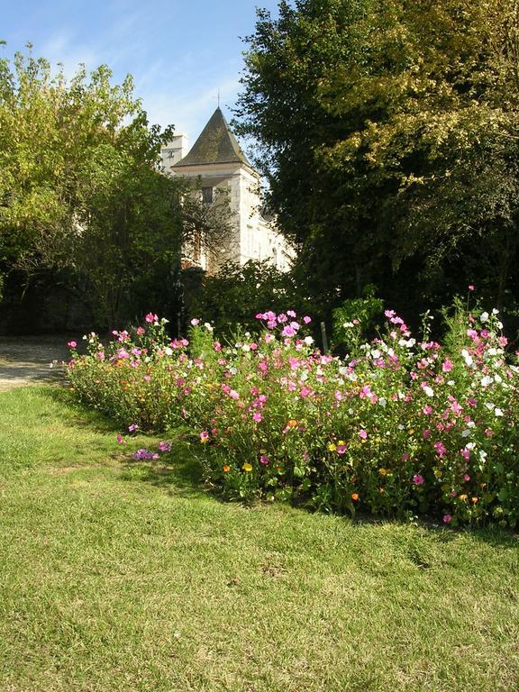 Chateau De La Noblaye Bed & Breakfast Lemere Dış mekan fotoğraf